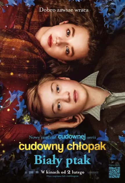 Plakat filmu Cudowny chłopak. Biały ptak