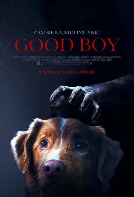 Good boy